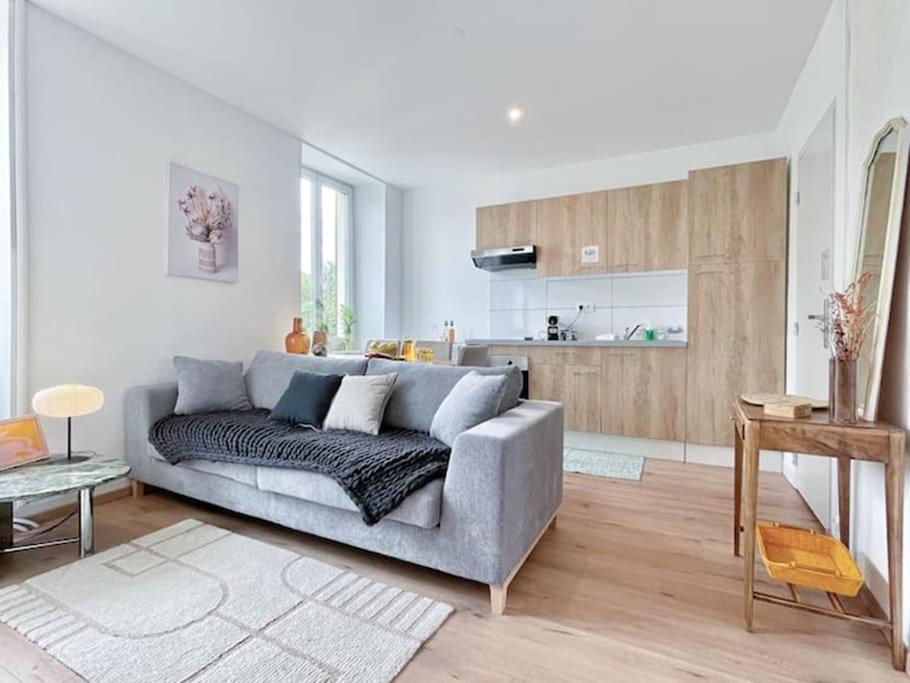 1 Appartement 3P Ideal Famille Travail Renove Lumineux Parking Gratuit Mulhouse Esterno foto