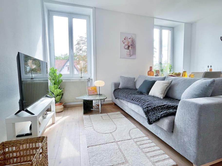 1 Appartement 3P Ideal Famille Travail Renove Lumineux Parking Gratuit Mulhouse Esterno foto