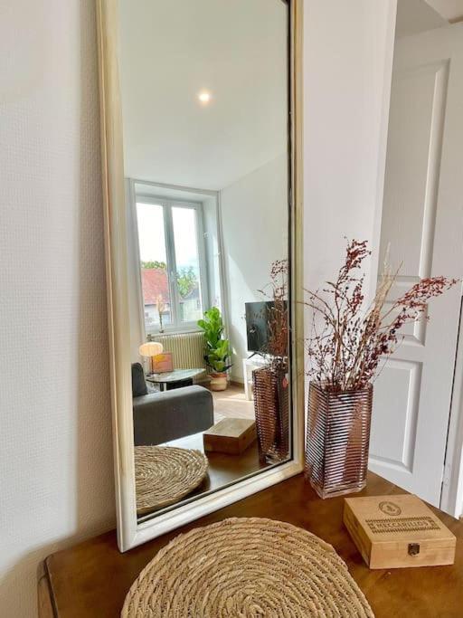 1 Appartement 3P Ideal Famille Travail Renove Lumineux Parking Gratuit Mulhouse Esterno foto