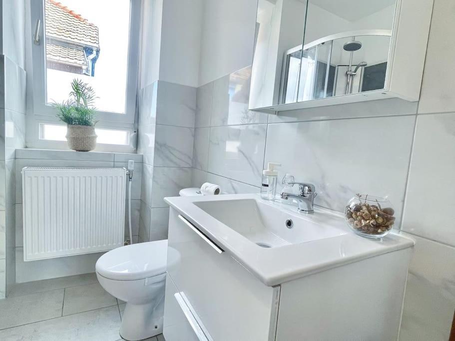 1 Appartement 3P Ideal Famille Travail Renove Lumineux Parking Gratuit Mulhouse Esterno foto